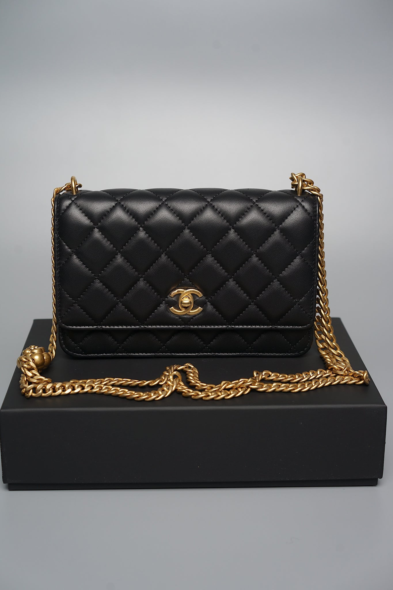 Chanel Camellia Wallet On Chain in Black Lambskin Bghw (Brand New)