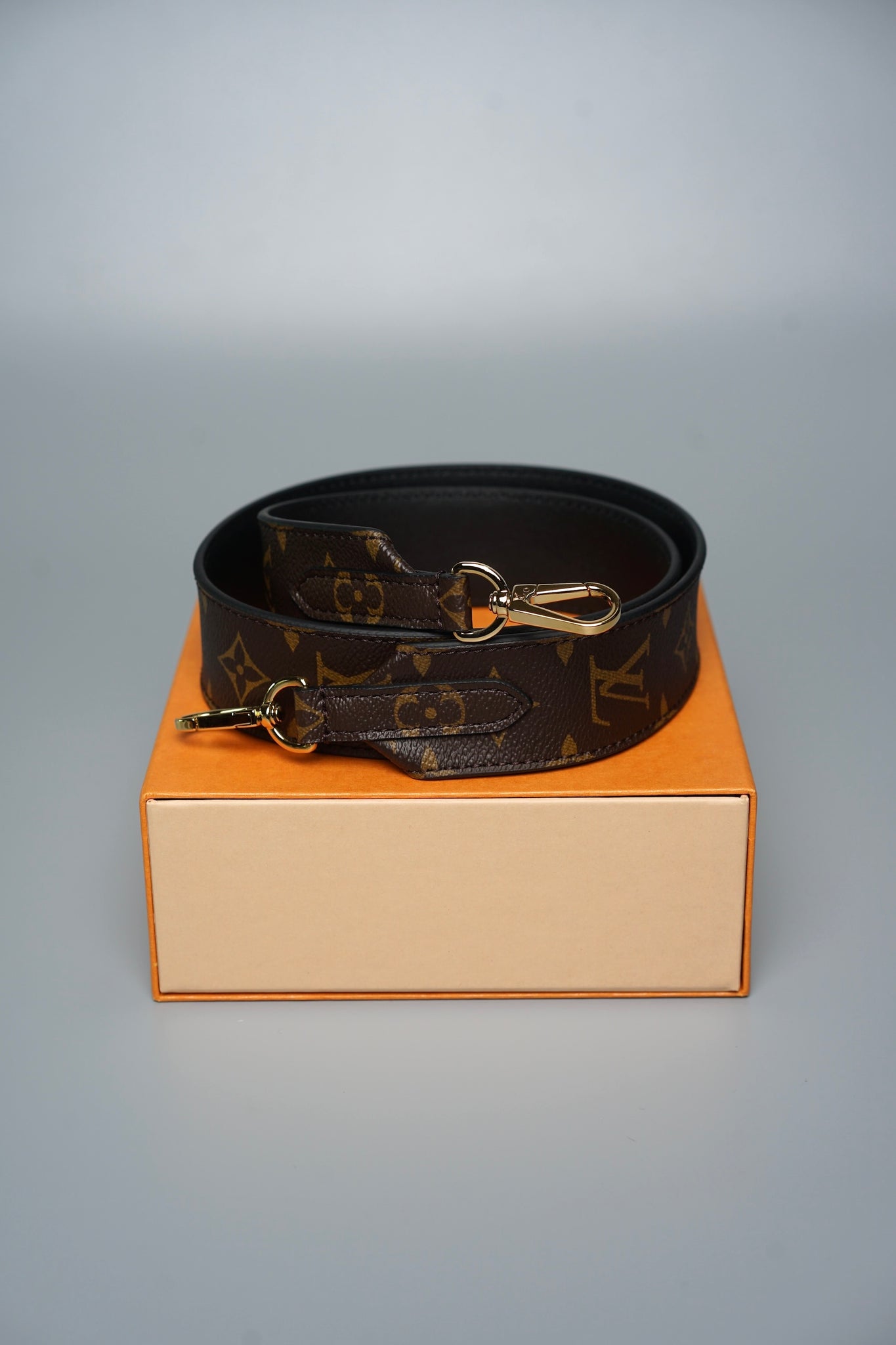 Louis Vuitton Bandoulière Strap (Brand New)