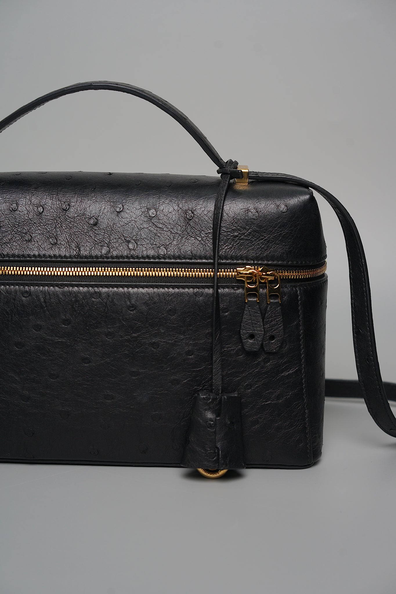 Loro Piana L27 in Black Ostrich Ghw (Brand New)