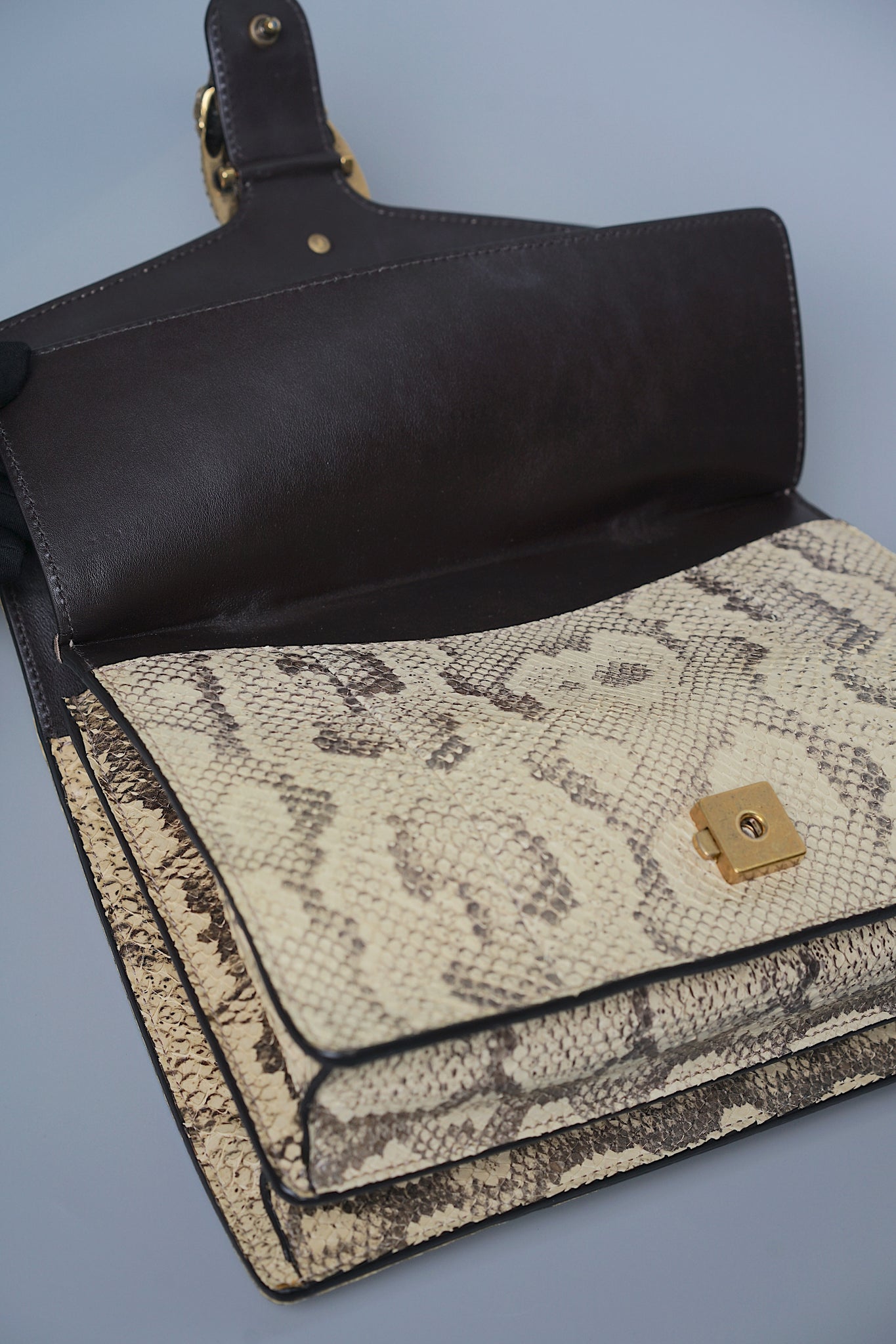 Gucci Python Medium Dionysus Shoulder Bag in Beige