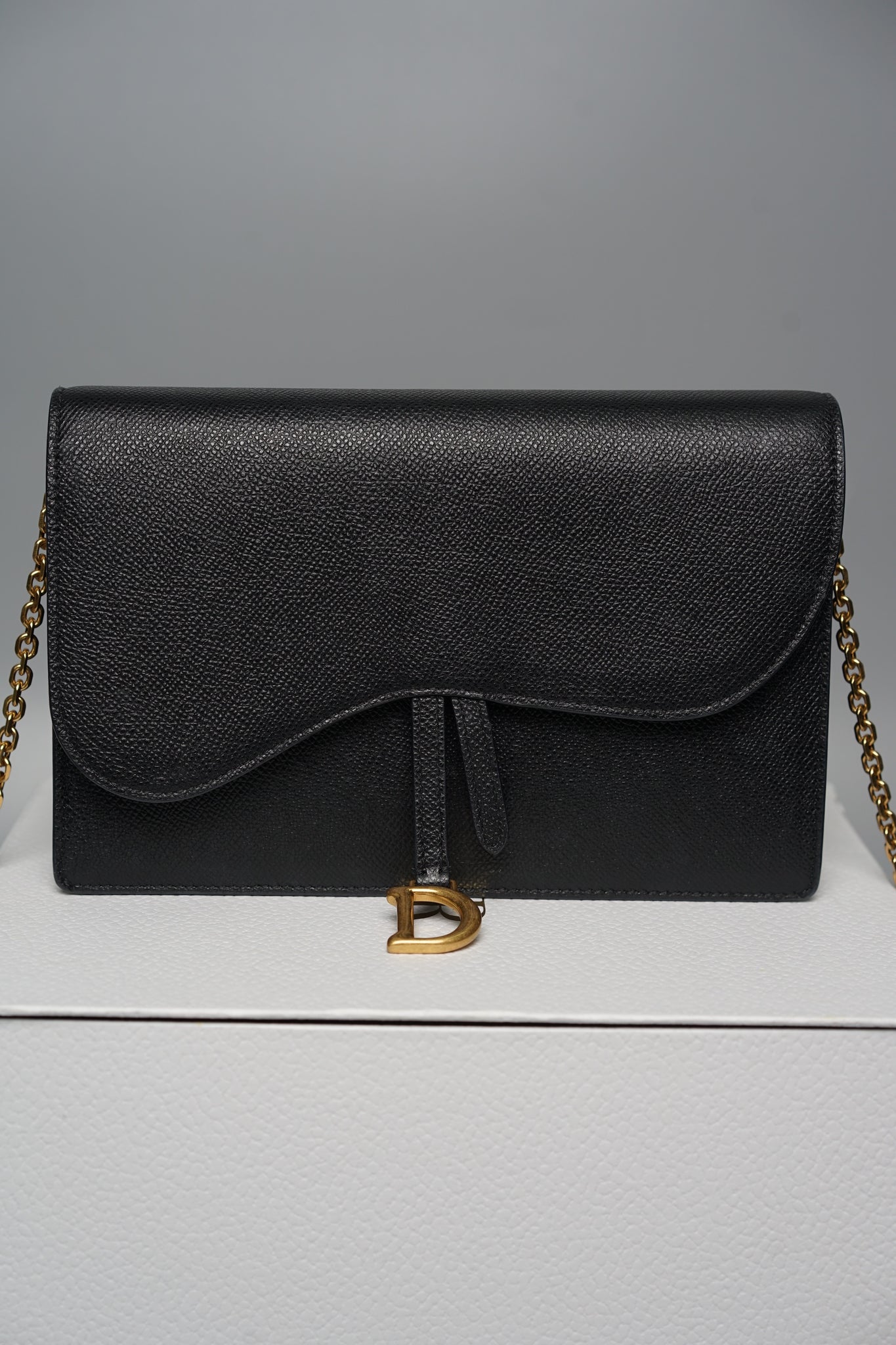 Dior SLG Saddle Pouch in Black Calfskin Ghw