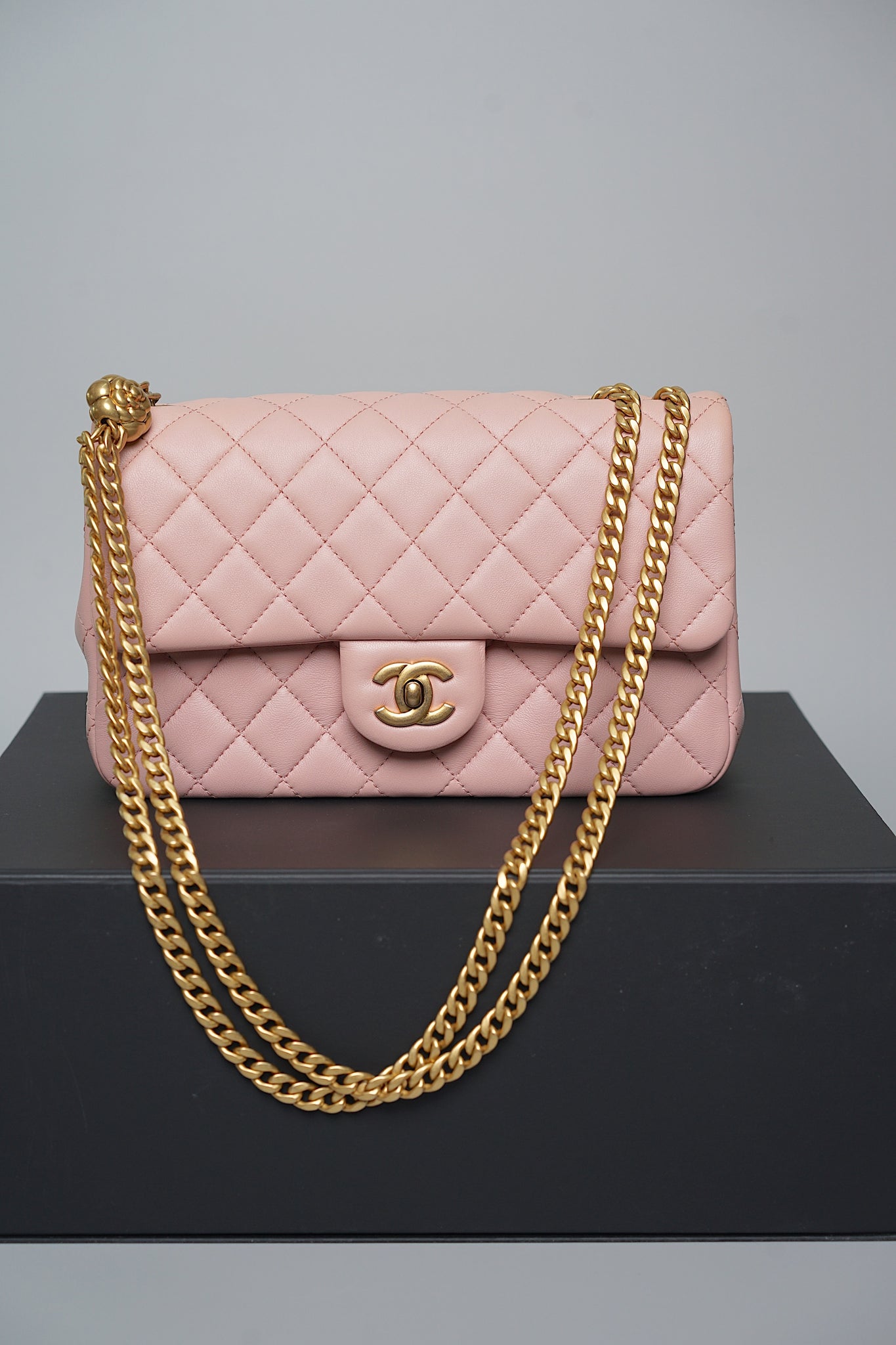 Chanel 23S Flap Bag in Pink Camellia Crush Bghw