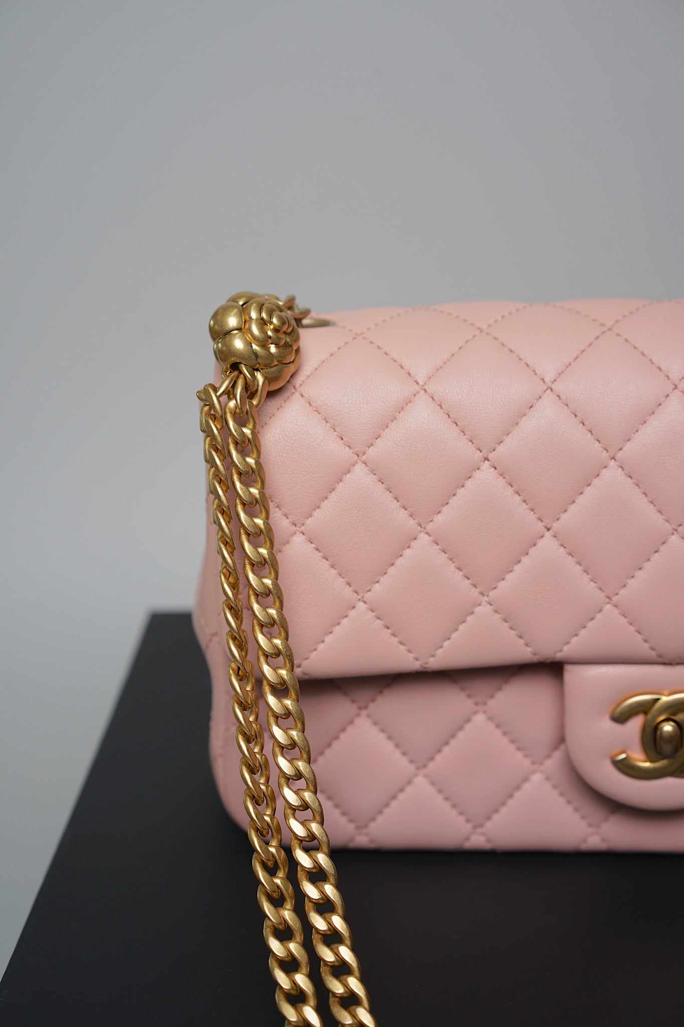 Chanel 23S Flap Bag in Pink Camellia Crush Bghw