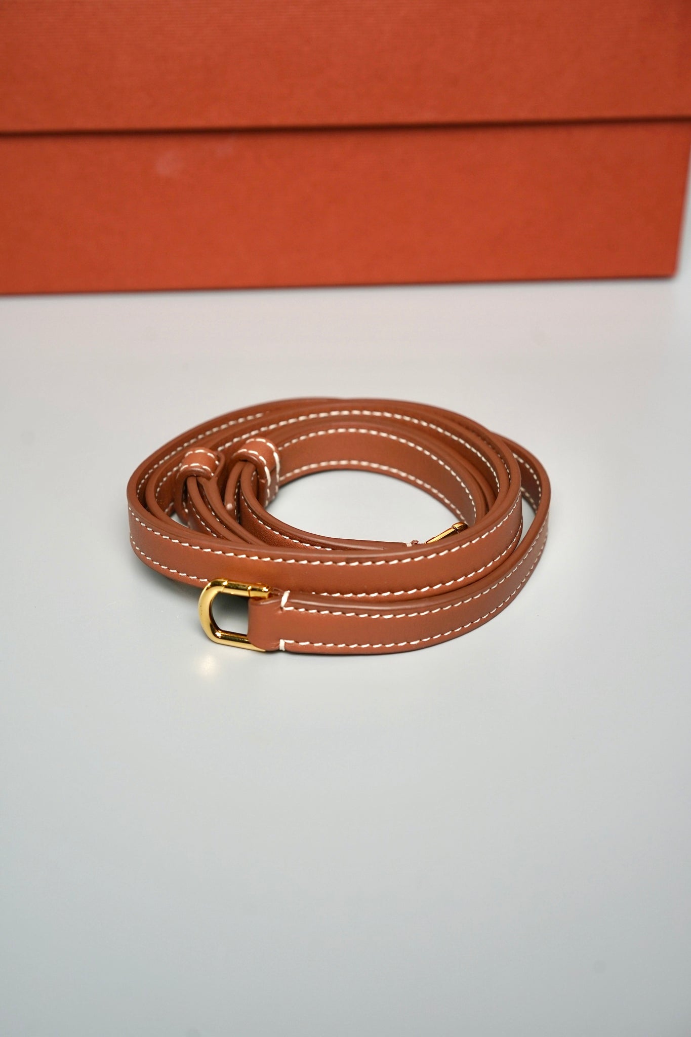 Loro Piana L19 Extra Pocket in Canvas Stripes Ghw (Brand New)