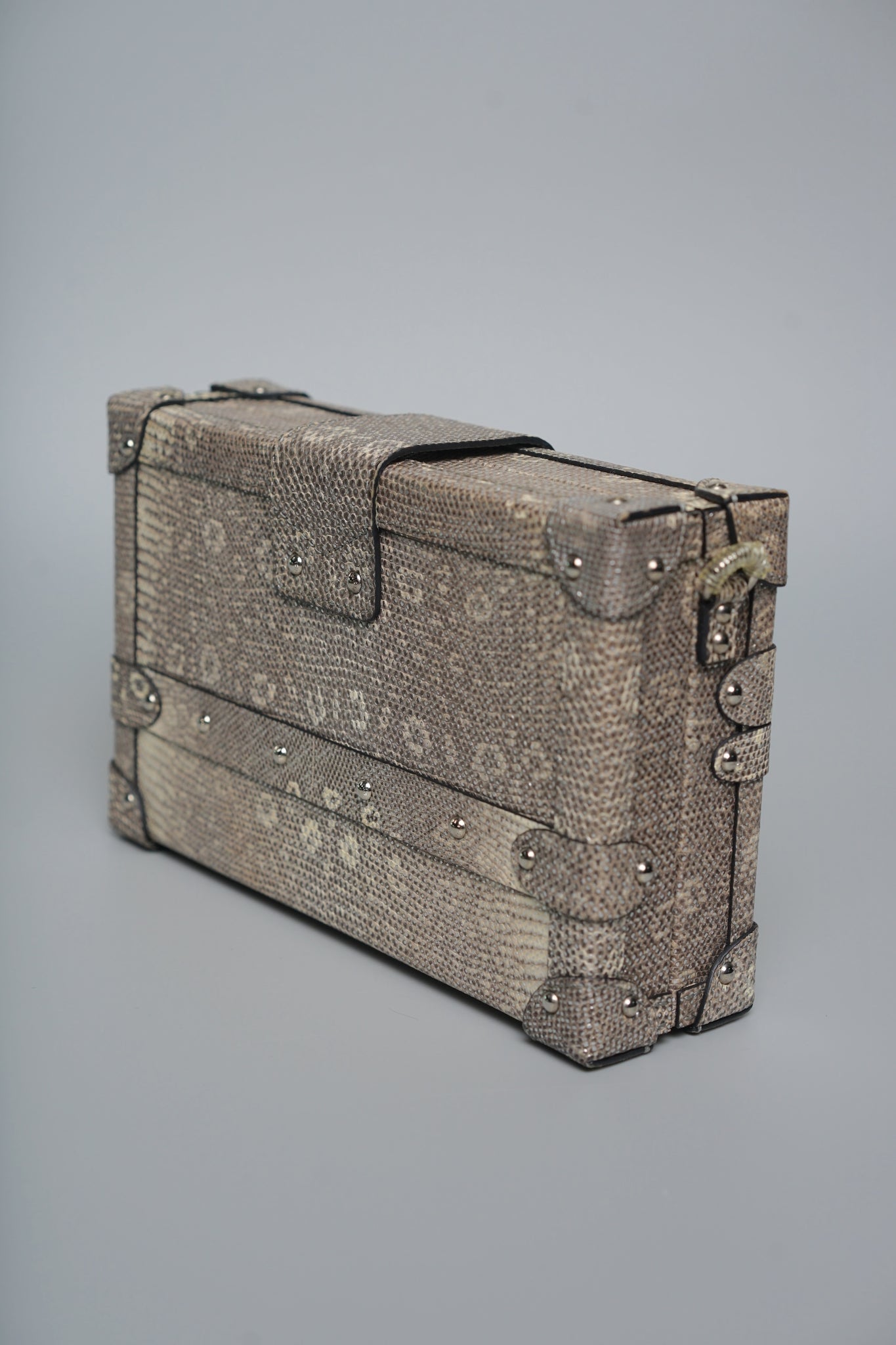 Louis Vuitton Lizard Petite Malle in Silver