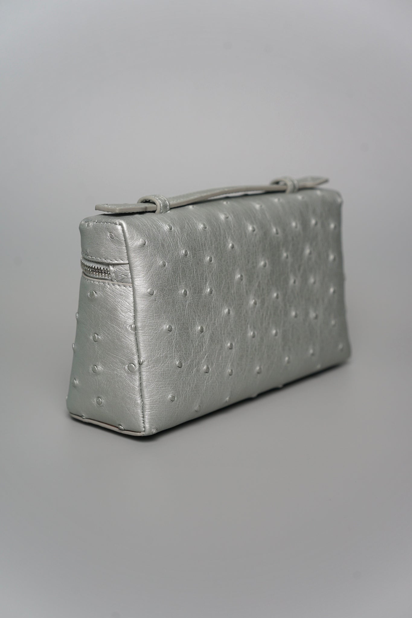 Loro Piana L19 in Ostrich Metallic Silver Shw (Brand New)