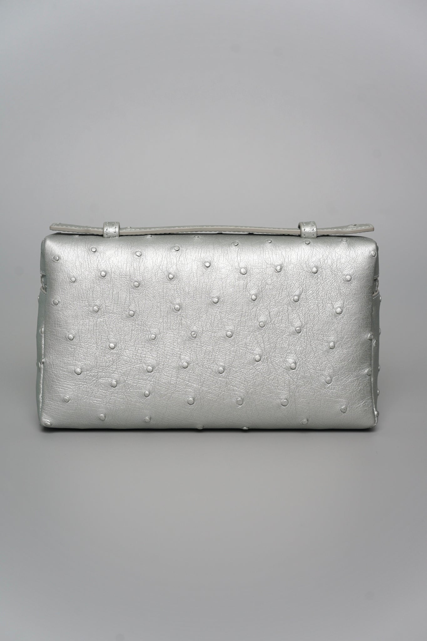 Loro Piana L19 in Ostrich Metallic Silver Shw (Brand New)