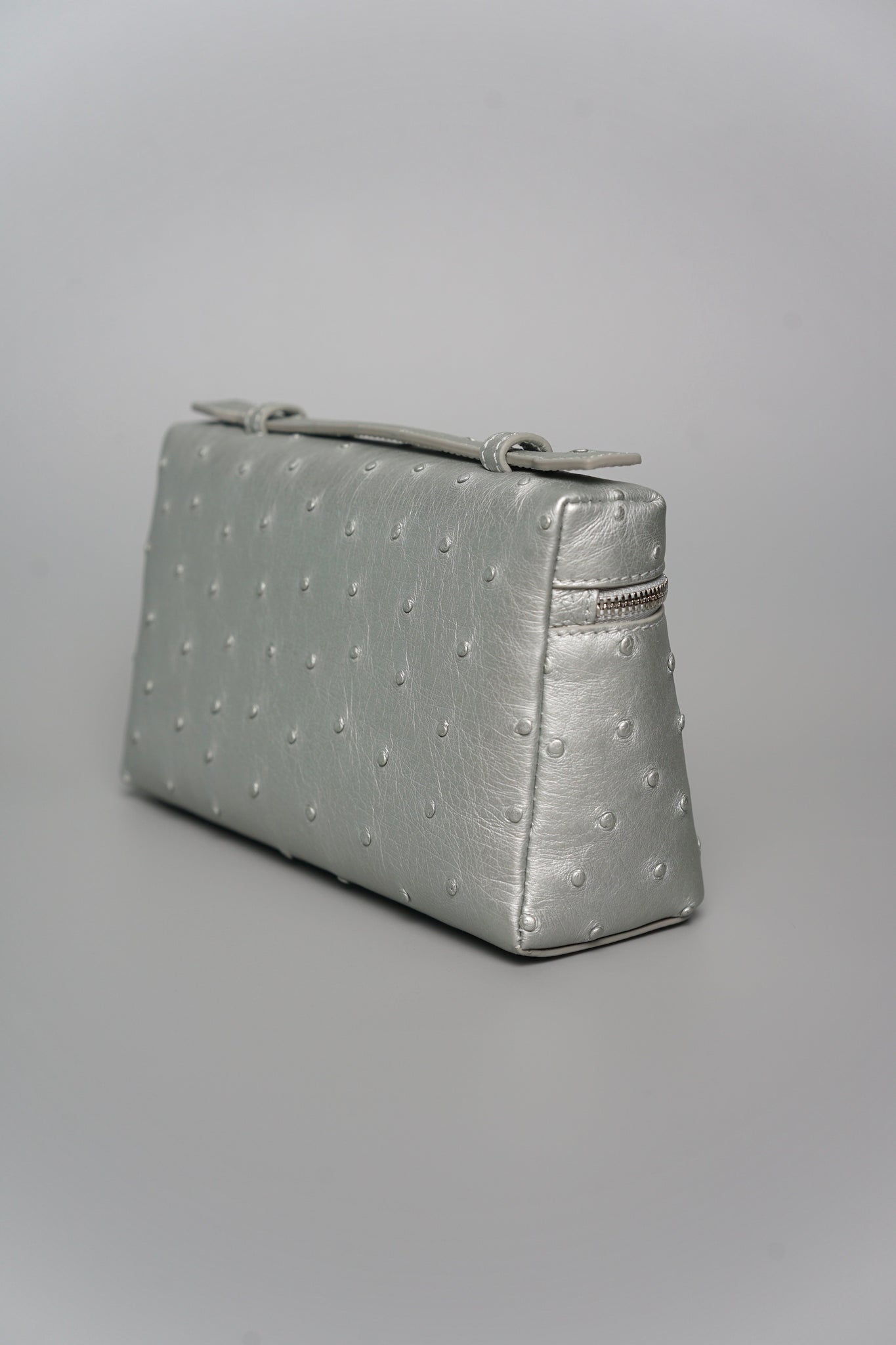 Loro Piana L19 in Ostrich Metallic Silver Shw (Brand New)