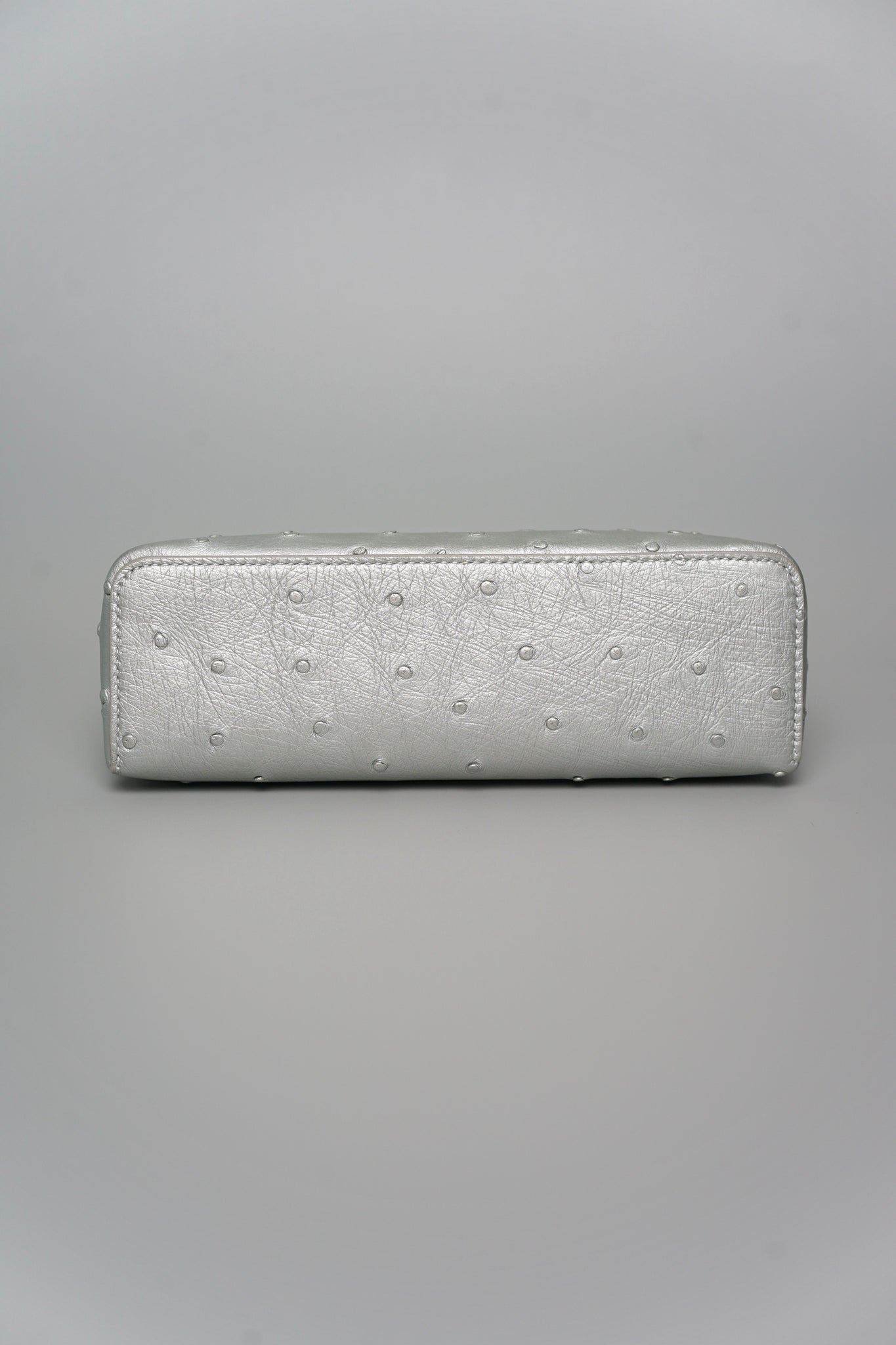 Loro Piana L19 in Ostrich Metallic Silver Shw (Brand New)