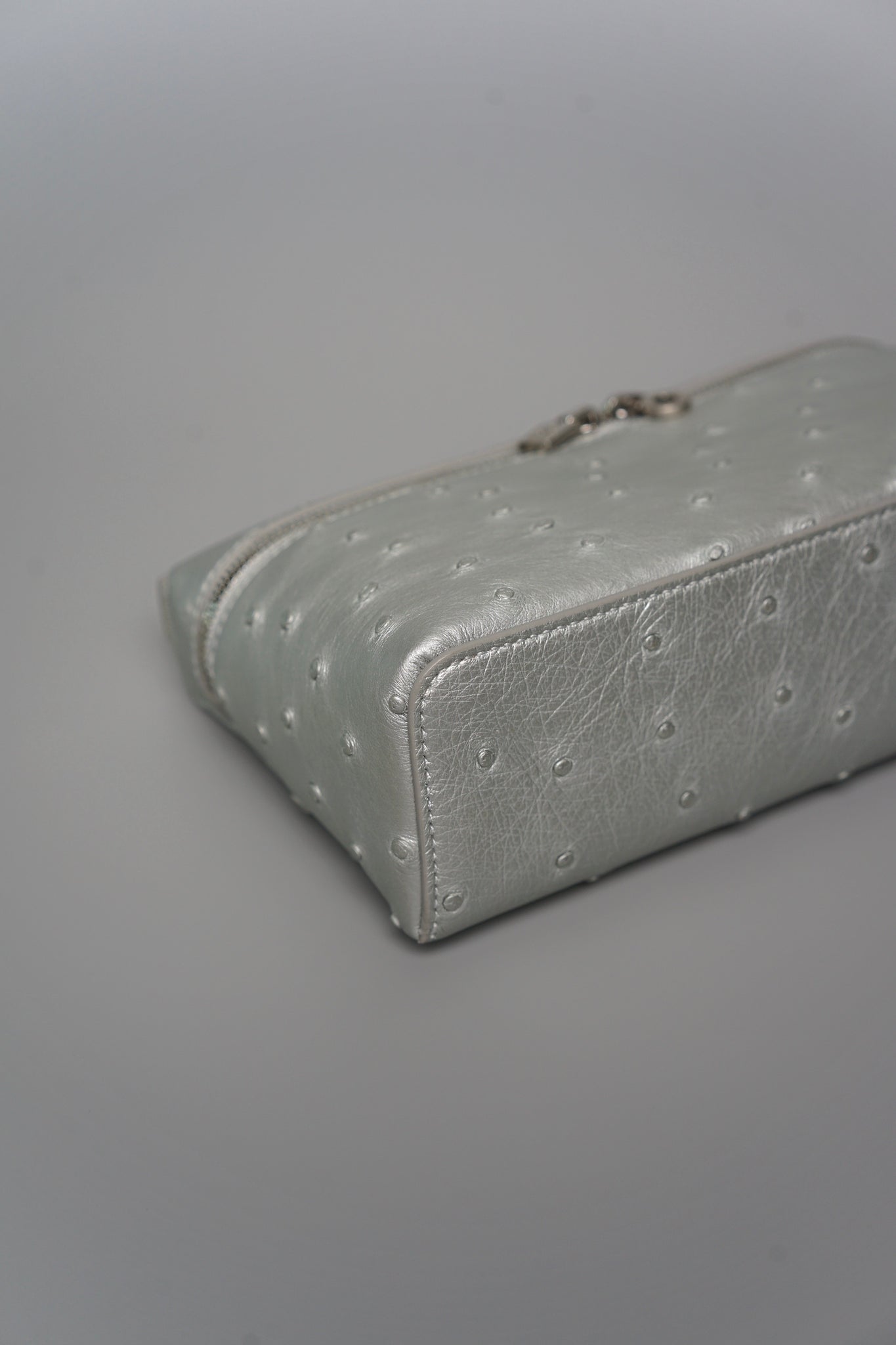 Loro Piana L19 in Ostrich Metallic Silver Shw (Brand New)