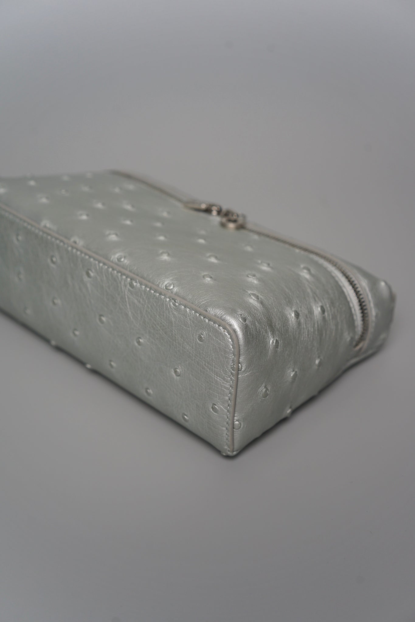 Loro Piana L19 in Ostrich Metallic Silver Shw (Brand New)