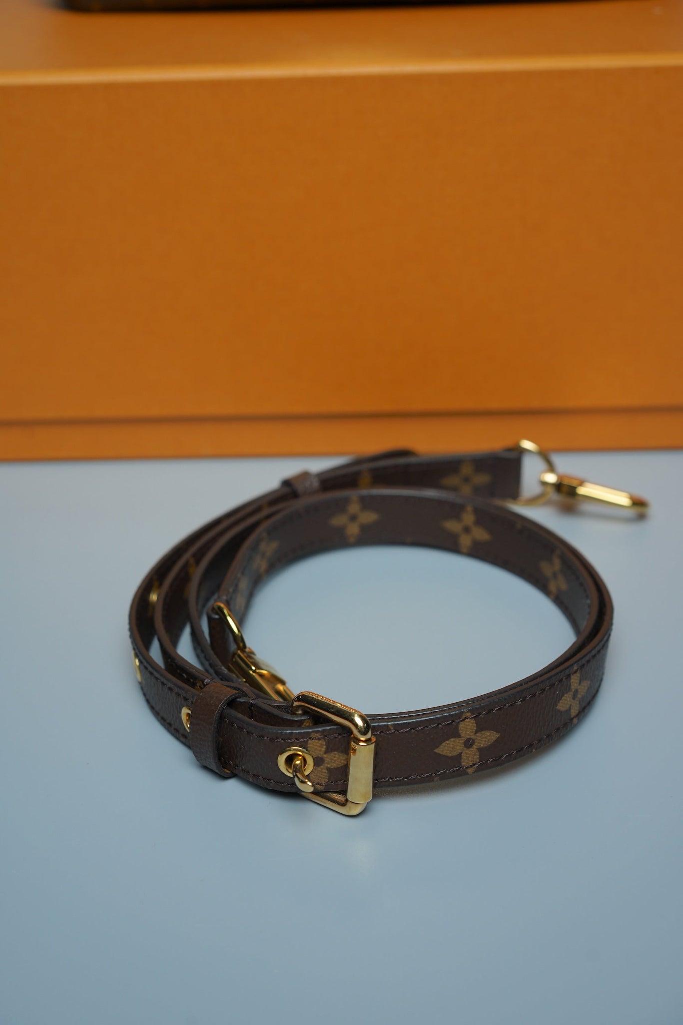 Louis Vuitton Pochette Metis in Monogram Canvas Ghw