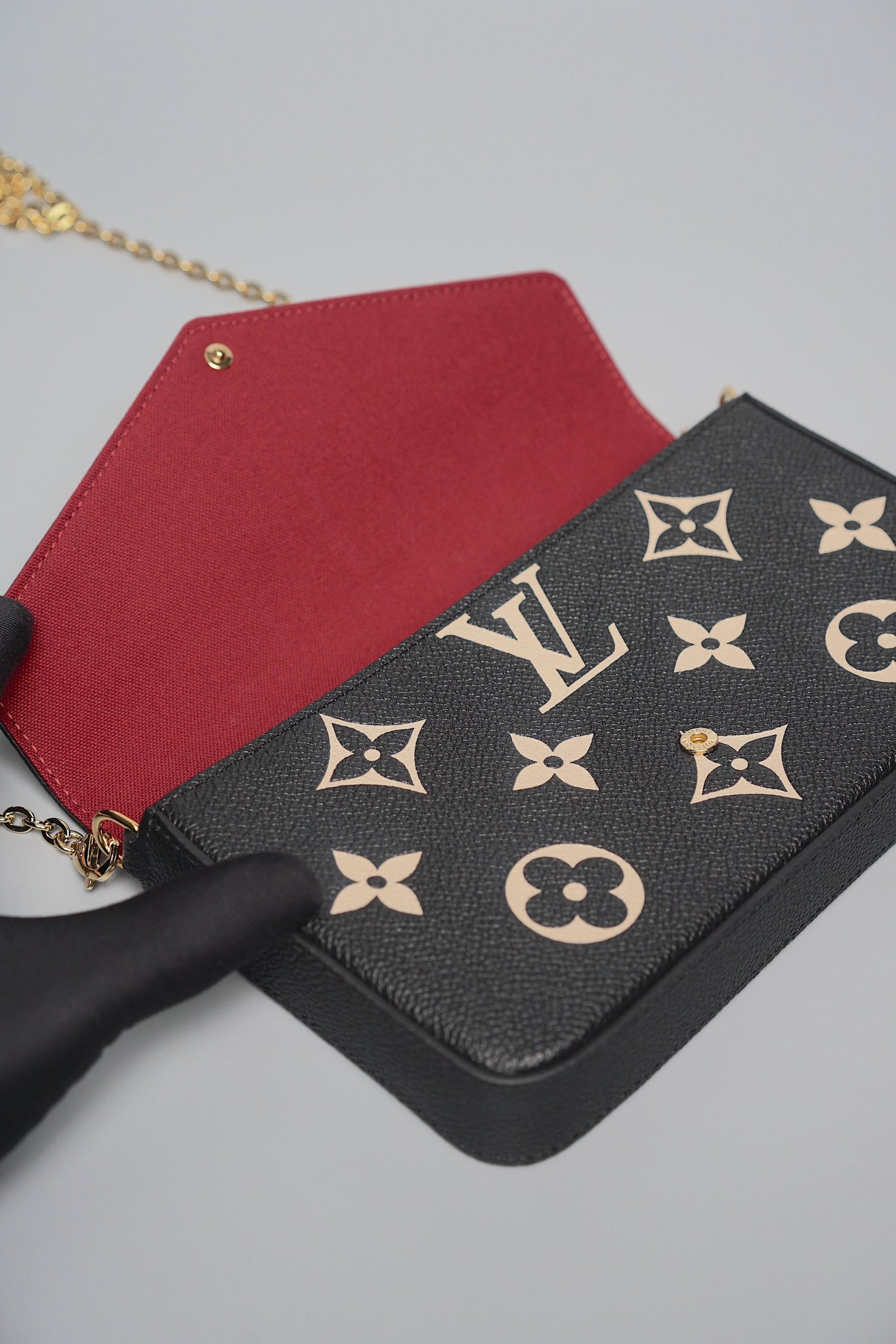 Louis Vuitton Felicie Pochette (Brand New)